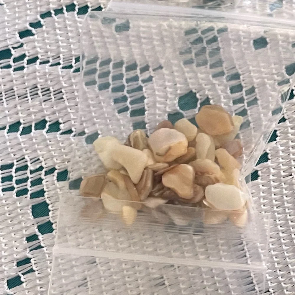 Beach Bead Collection